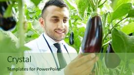  Presentation with greenhouse gases - Colorful PPT layouts enhanced with agro business - owner of greenhouse looking backdrop and a  colored foreground