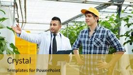  Presentation with greenhouse - Theme enhanced with agro business - young co-workers looking at vast background and a yellow colored foreground