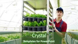  Presentation with greenhouse - Beautiful slides featuring agro business - young man in uniform working backdrop and a tawny brown colored foreground