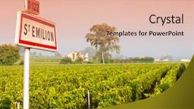  Presentation with cake grain and saint - Slides with agro - vineyards near saint-emilion bordeaux francie background and a lemonade colored foreground