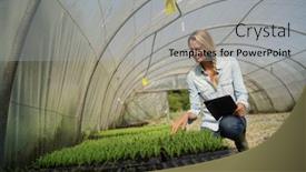  Presentation with agronomist - Theme enhanced with agronomist checking seedlings inside greenhouse background and a light gray colored foreground