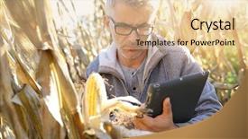  Presentation with agronomist - Slide deck having corn field testing quality background and a lemonade colored foreground
