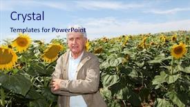  Presentation with agronomist - PPT theme consisting of agronomist in sunflowers field with laptop computer background and a sky blue colored foreground