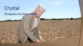  Presentation with agronomist - Slide deck consisting of agronomist working in wheat field in summer season background and a sky blue colored foreground