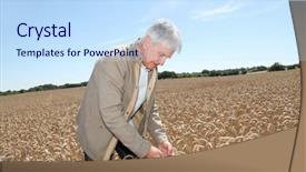  Presentation with agronomist - Theme having agronomist working in wheat field background and a  colored foreground