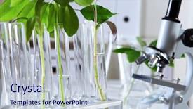  Presentation with biology - Presentation design enhanced with agronomy research - green plants and scientific equipment background and a lemonade colored foreground