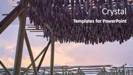  Presentation with salmon fish - Amazing slides having air-drying-of-salmon-fish backdrop and a tawny brown colored foreground