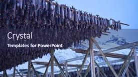  Presentation with salmon fish - Slide set consisting of air-drying-of-salmon-fish background and a navy blue colored foreground