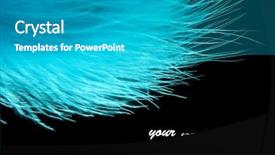  Presentation with abstract beautiful black pink glitter - Colorful slide deck enhanced with air flow - beautiful decorative feather on black backdrop and a teal colored foreground