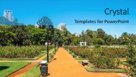  Presentation with red roses rose garden - PPT theme with air france - palermo rose garden background and a  colored foreground