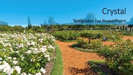  Presentation with air france - Audience pleasing PPT theme consisting of air france - palermo rose garden backdrop and a  colored foreground