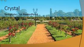  Presentation with air france - Theme having air france - palermo rose garden background and a  colored foreground