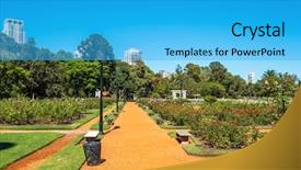  Presentation with red roses rose garden - Beautiful PPT theme featuring air france - palermo rose garden backdrop and a cyan colored foreground