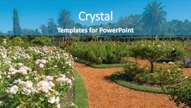  Presentation with garden - PPT theme consisting of air france - palermo rose garden background and a teal colored foreground