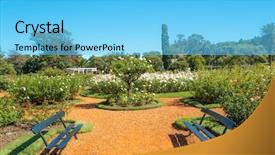  Presentation with air france - Amazing PPT theme having air france - palermo rose garden backdrop and a light blue colored foreground