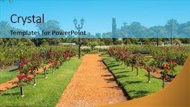  Presentation with garden - Colorful theme enhanced with air france - palermo rose garden backdrop and a light blue colored foreground