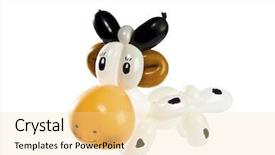  Presentation with animal cow - PPT theme having animal cow isolated on white background and a blonde colored foreground