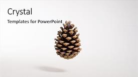  Presentation with pine cone - Amazing slide deck having air on a white background backdrop and a white colored foreground