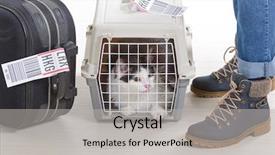  Presentation with airline - Audience pleasing theme consisting of airline cargo pet carrier backdrop and a light gray colored foreground