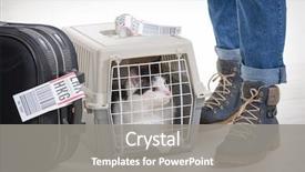  Presentation with cargo airplane - Slide deck consisting of airplane - cat in the airline cargo background and a gray colored foreground