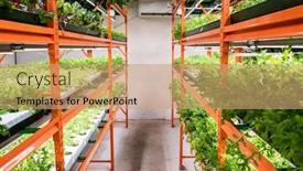  Presentation with plants growing - Slide set featuring aisle-between-large-shelves background and a coral colored foreground