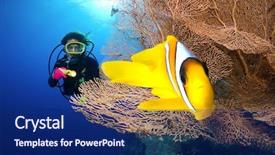  Presentation with fish decapteruss ruselli - PPT theme consisting of alam - clown fish and diver background and a navy blue colored foreground