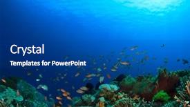  Presentation with coral reef - Beautiful slide deck featuring alam - coral reef backdrop and a ocean colored foreground
