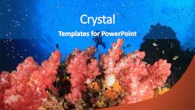  Presentation with coral reef - Cool new slides with alam - scuba dive coral reef divers backdrop and a cobalt blue colored foreground