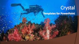  Presentation with scuba diving - Cool new presentation theme with alam - scuba diving coral reef underwater backdrop and a teal colored foreground