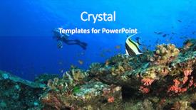  Presentation with scuba diving - PPT layouts consisting of alam - scuba diving fish and coral background and a gray colored foreground