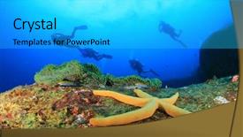  Presentation with tropical reef fish - PPT theme having alam - scuba diving on tropical coral background and a light gray colored foreground