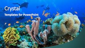  Presentation with scuba diving - Cool new slide deck with alam - scuba diving over coral reef backdrop and a cobalt blue colored foreground