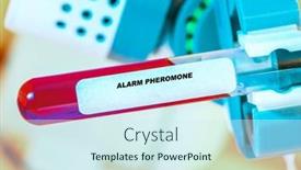  Presentation with lab test - PPT theme consisting of alarm-pheromone-in-test-tube background and a cool aqua colored foreground