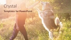  Presentation with dog park dogs plays - Amazing slides having alaskan-malamut-dog-playing backdrop and a lemonade colored foreground