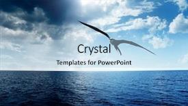  Presentation with international law of the sea - Presentation featuring albatross-and-caribbean-sea background and a light blue colored foreground