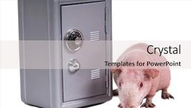  Presentation with guinea pig - Colorful theme enhanced with albino rats - bald guinea pig is sniffing backdrop and a lemonade colored foreground