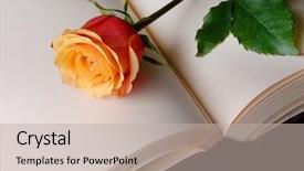  Presentation with album - Presentation theme with album and rose background and a mint green colored foreground