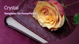  Presentation with album - Audience pleasing theme consisting of album and rose backdrop and a tawny brown colored foreground