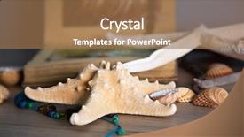 Presentation with shells stars - Presentation theme enhanced with album reminiscent of the summer background and a coral colored foreground