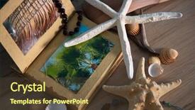  Presentation with shells stars - PPT theme having album reminiscent of the summer background and a tawny brown colored foreground