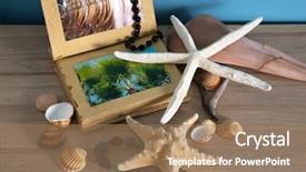  Presentation with shells stars - Theme featuring album reminiscent of the summer background and a coral colored foreground