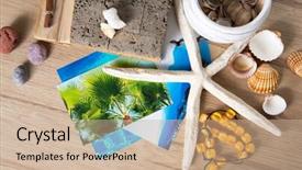  Presentation with shells stars - Beautiful PPT theme featuring album reminiscent of the summer backdrop and a  colored foreground