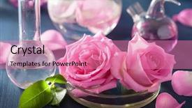  Presentation with aromatherapy - PPT layouts featuring alchemy and aromatherapy with rose background and a coral colored foreground