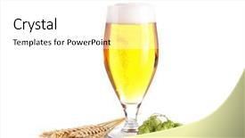  Presentation with fermentation - Audience pleasing presentation consisting of alcohol fermentation - glass of light beer backdrop and a white colored foreground