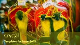  Presentation with drugs alcohol rehabilitation - PPT theme featuring alcohol with cobra and scorpion background and a tawny brown colored foreground