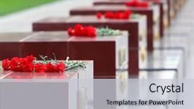  Presentation with remembrance day - Amazing presentation having alexander garden at victory day backdrop and a light gray colored foreground