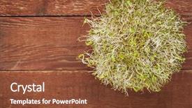 Presentation with barn wood - Slide deck with alfalfa and radish sprouts against red rustic barn wood table with a copy space background and a tawny brown colored foreground