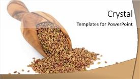  Presentation with olive - Cool new theme with alfalfa seed in an olive backdrop and a  colored foreground