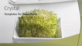  Presentation with napkin - Slide deck consisting of alfalfa sprouts on plate with white napkin background and a white colored foreground