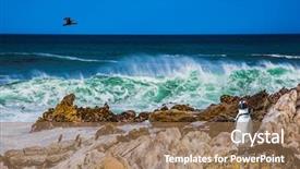  Presentation with south africa - Slides having algae in boulders penguin colony background and a  colored foreground
